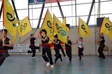Xia Quan Kung Fu Flags