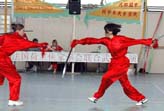 Swords Dui Lian