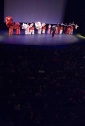 Xia Quan Kung Fu  Group