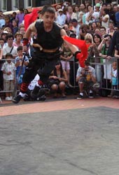 Kung Fu double swards