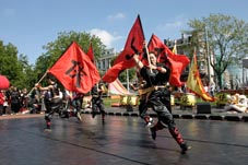 Kung Fu group flags