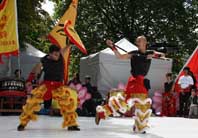 Chinees Cultural Festival Kung Fu demo