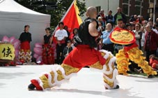 Chinees Cultural Festival Kung Fu demo