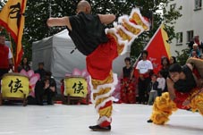 Chinees Cultural Festival Kung Fu demo