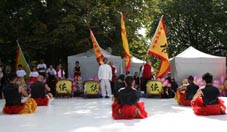Chinees Cultural Festival Kung Fu demo