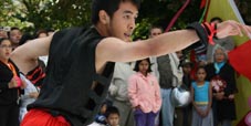 Chinees Cultural Festival Kung Fu demo
