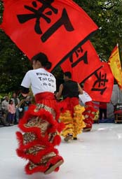 Chinees Cultural Festival Kung Fu demo Xia Quan flags