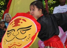 Chinees Cultural Festival Kung Fu demo