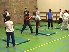 contact training