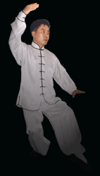 Tai Chi 