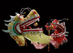 Dragon dance